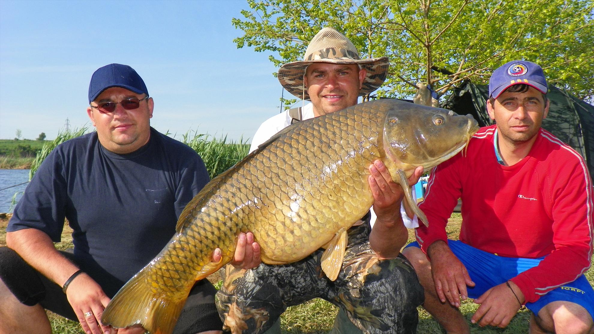 Crapmania (2) - 2011 - 1001166.JPG